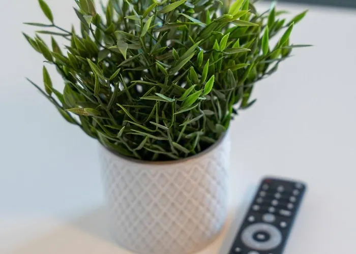 Bege Calmloft * Willich